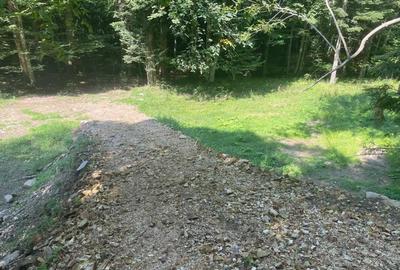 Teren de 1200 mp, în Văliug - 2