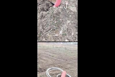 Teren de 1000 mp, în Domnești - 5