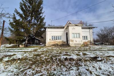 Casă cu 5 camere cu Teren 5950 Mp în Nord - 16