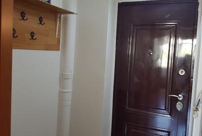 Garsonieră semidecomandată, mobilată în Alexandru cel Bun - 2