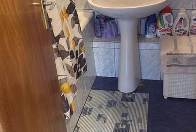 Apartament cu 2 camere decomandat în Baba Novac - 9