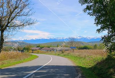 Teren de 461 mp, în Daia - 5