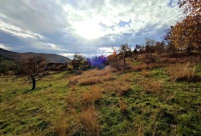 Teren Construcții intravilan de 706 mp, în Cisnădioara - 12