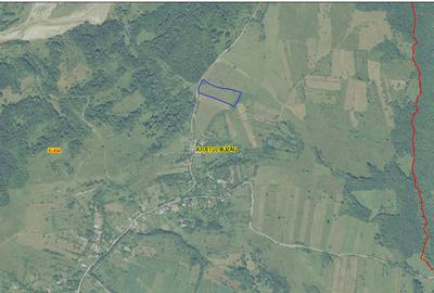 Vănd Teren Extravilan Dănulești, Jud. Buzău 9700 mp - 5