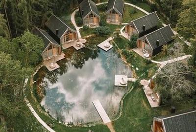 Bucium Teren de Inchiriat in Inima Padurii - 1