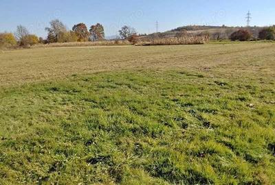 Seini zona de case noi, 500 E ar intravilan - 1