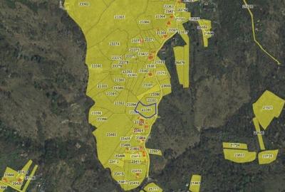 Teren de 2894 mp, în Vistieru - 3