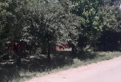 Casă cu 4 camere în Izvoarele - 1