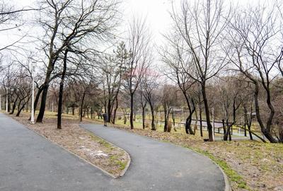 Garsonieră decomandată în Pantelimon - 13