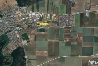 Teren în Islaz - 4