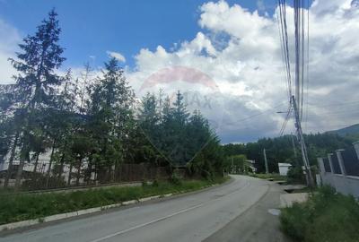 Teren Construcții intravilan de 613 mp, în Sadu - 11