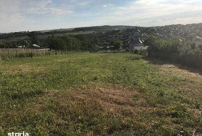 Teren de 1000 mp, în Rediu - 3