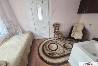 Casa de vanzare in Bistra -1700 mp teren - 4