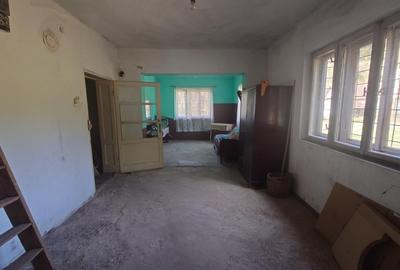 Teren, padure si casa in Dumbrava de Jos, jud. Hunedoara - 16