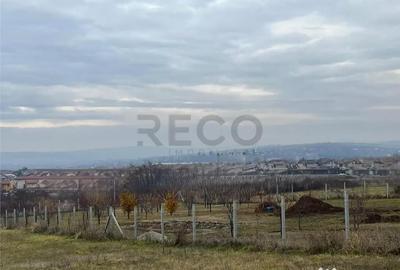 Teren de 720 mp, în Paleu - 6