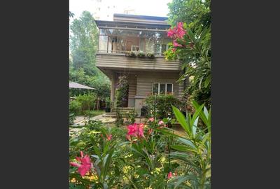 Oferta Vila interbelică zona Iancului - 2