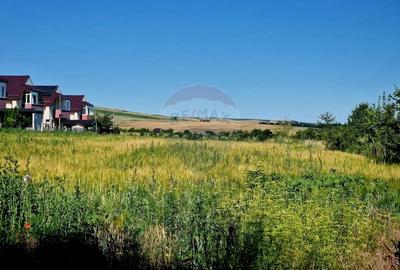 Teren 3.538 mp - Zona in Dezvoltare, Piatra Neamt - 3