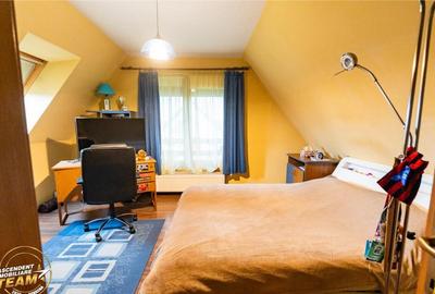 FILM! Casa distincta,P M,5 camere,garaj dublu,sauna,ciubar:c - 4