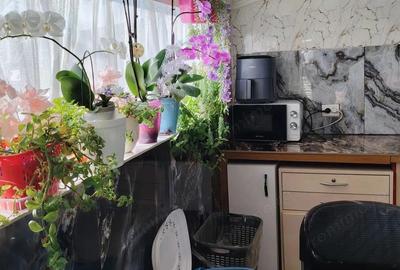 Casă cu 4 camere cu Canalizare în Variaș