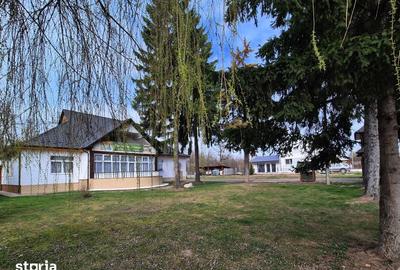 Casă cu 9 camere cu Teren 3500 Mp în Ocna Șugatag - 18