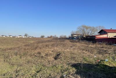 Teren de 5000 mp, în Ciorogârla