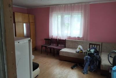 Casă cu 3 camere în Căpușu Mare - 7