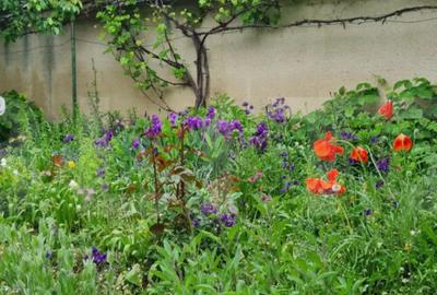 Casă cu 3 camere cu Canalizare în Bod - 12