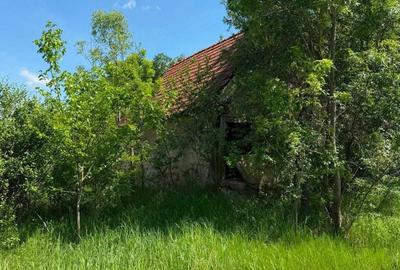 Teren de 5035 mp, în Mânerău - 8