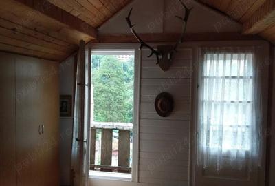 Casă cu 5 camere cu Teren 4200 Mp în Băile Herculane - 5