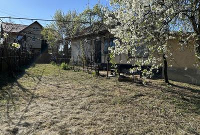 Teren intravilan si casa batraneasca - 1