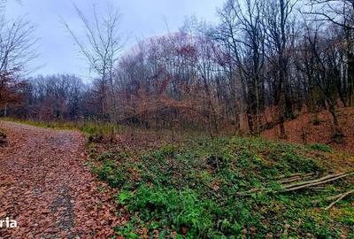 Teren de 924 mp, în Tăuții-Măgherăuș - 6