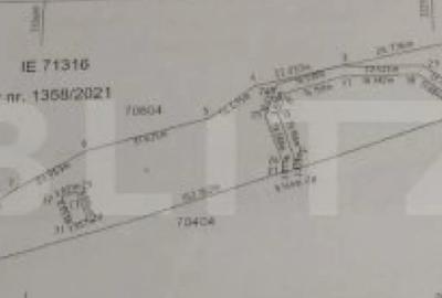 Teren de 3015 mp, în Arieșeni - 1