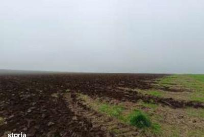 Teren de 15000 mp, în Limanu