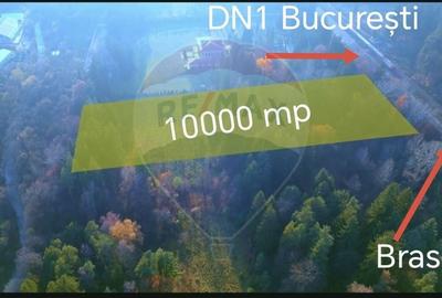 Teren Construcții intravilan de 10000 mp, în Timișu de Jos - 9