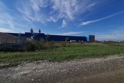 Dumbravita teren industrial 2581 mp Dumbravita teren industrial 2581 mp - 3