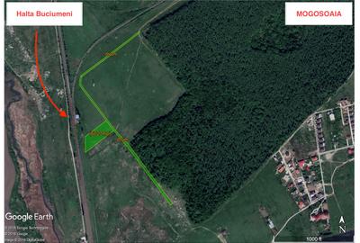 Oportunitate Investitie - 6000mp - Mogosoaia - 3