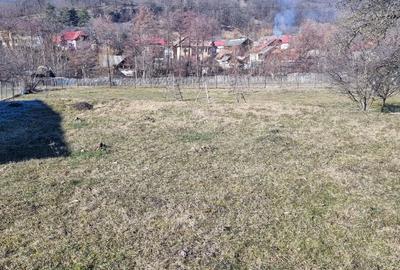 Teren Construcții intravilan de 1600 mp, în Jgheaburi - 5