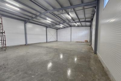 Spațiu industrial, de 7,000 mp, în Exterior Nord - 1