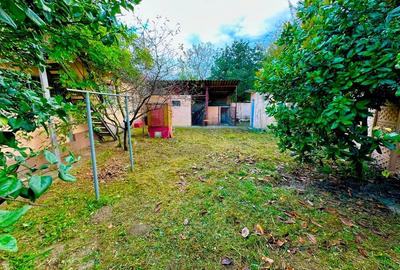 Două case la curte comuna, 700mp teren, Bocșa Montană (Str Reșiței) - 12