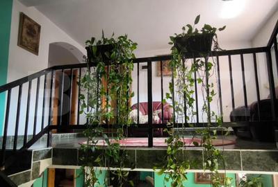 Casă cu 7 camere cu Teren 1430 Mp în Central - 3
