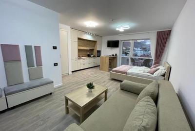 Studio Sinaia cu vedere spre munte - 4