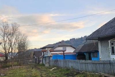 Casă cu 2 camere în Pârâul Pântei - 4