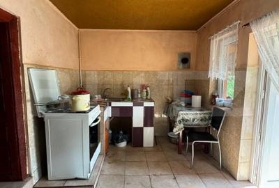 Casa cu 3 canere in Ghelari - 13