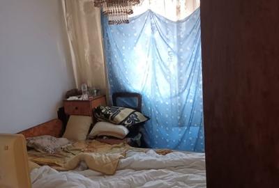 Obor, Colentina, Lacul Tei x  Teiul Doamnei, langa parcul Tei - 3