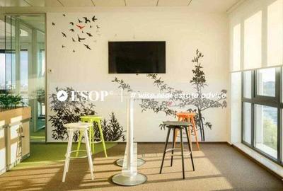 Ethos House, Floreasca, 383 mp 0% comision! - 1