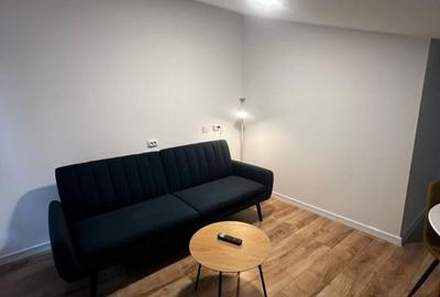 Vanzare vila 5 camere in zona Mariott. Inchiriata cu 1800 de euro lunar. - 13