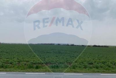 Teren de vanzare Ganeasa Ilfov | 500 m de DN | Rezidential/Industrial Teren de vanzare Ganeasa Ilfov | 500 m de DN | Rezidential/Industrial - 2