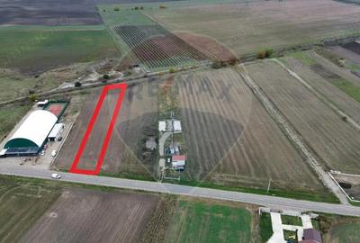 Teren 1,800mp Mircestii Vechi / DJ 204E - 2