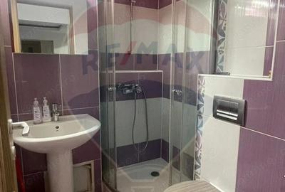 Apartament cu 4 camere de inchiriat in zona Sarari - 4