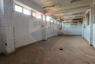 Spațiu comercial, de 690.09997558594 mp, în Central - 3